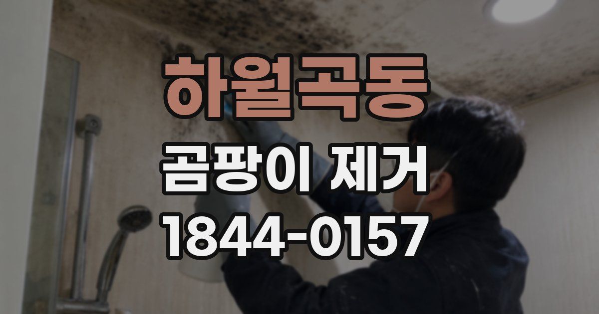 하월곡동 곰팡이 제거