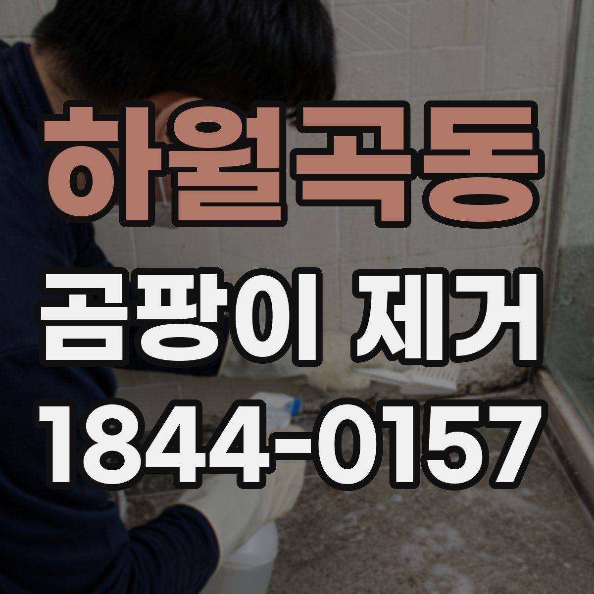 하월곡동 곰팡이 제거