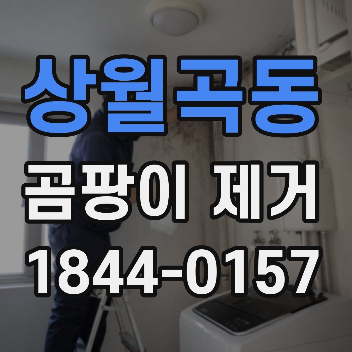 상월곡동 곰팡이 제거 벽지 손상 줄이는 안전한 청소 순서