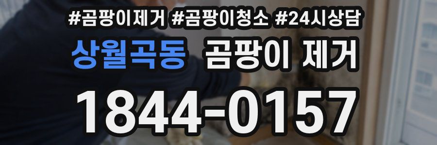 상월곡동 곰팡이 제거