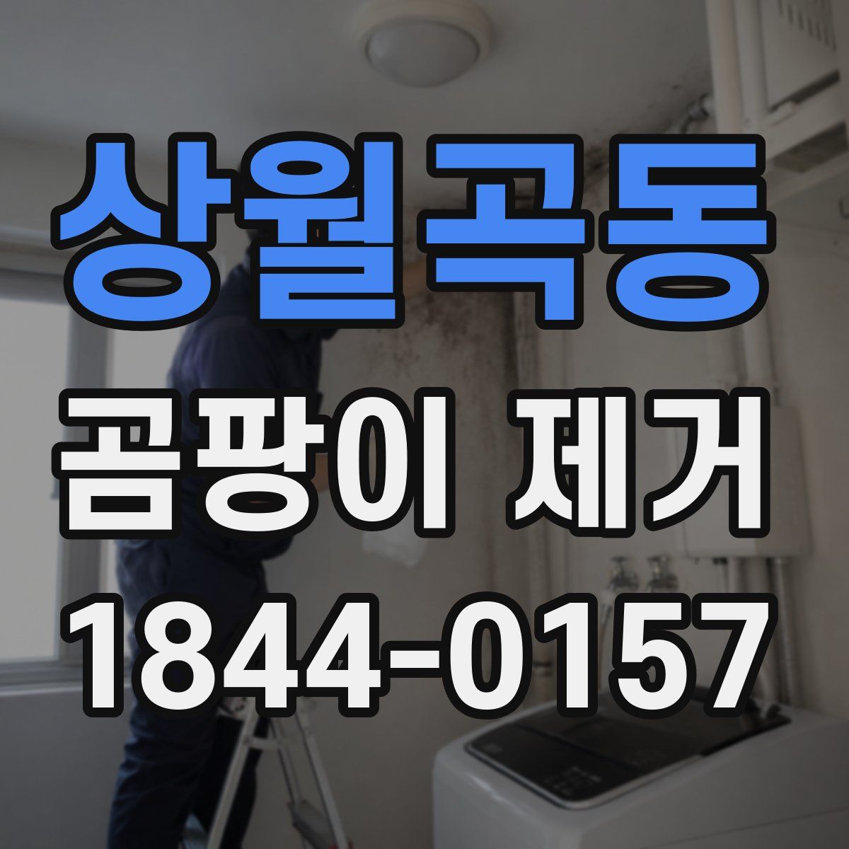 상월곡동 곰팡이 제거
