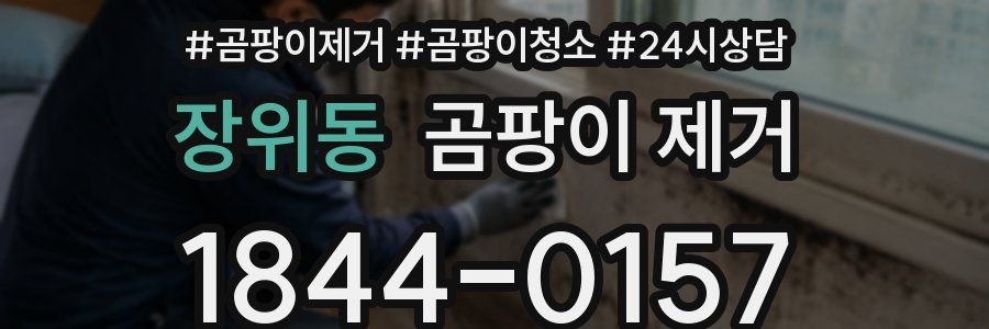 장위동 곰팡이 제거