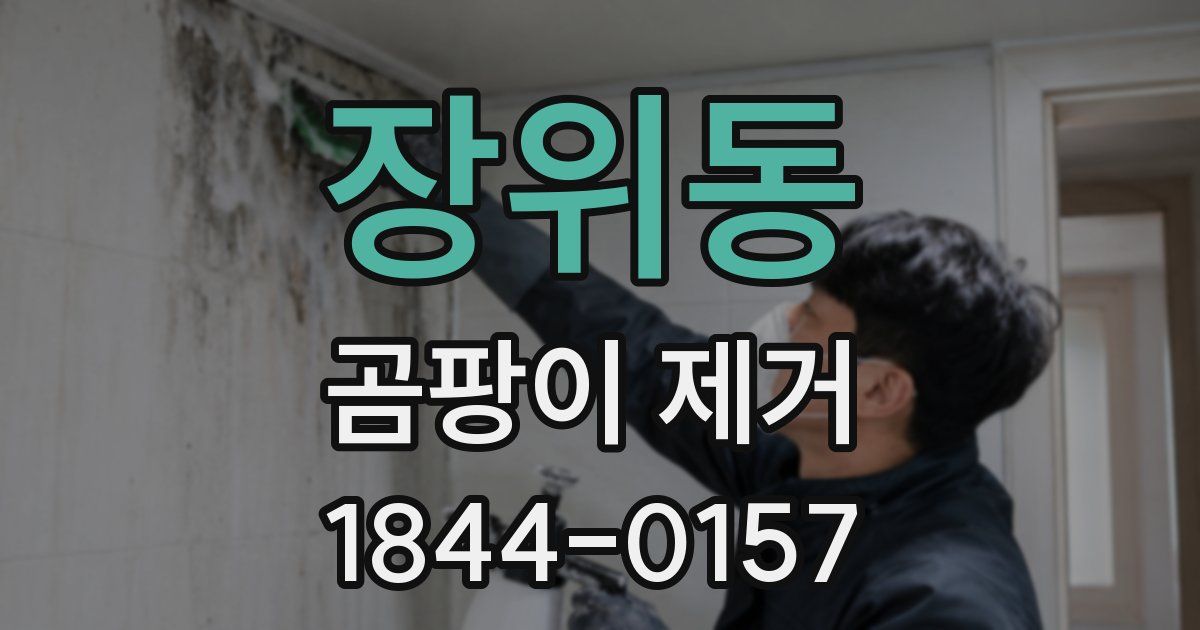장위동 곰팡이 제거