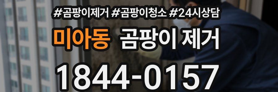미아동 곰팡이 제거