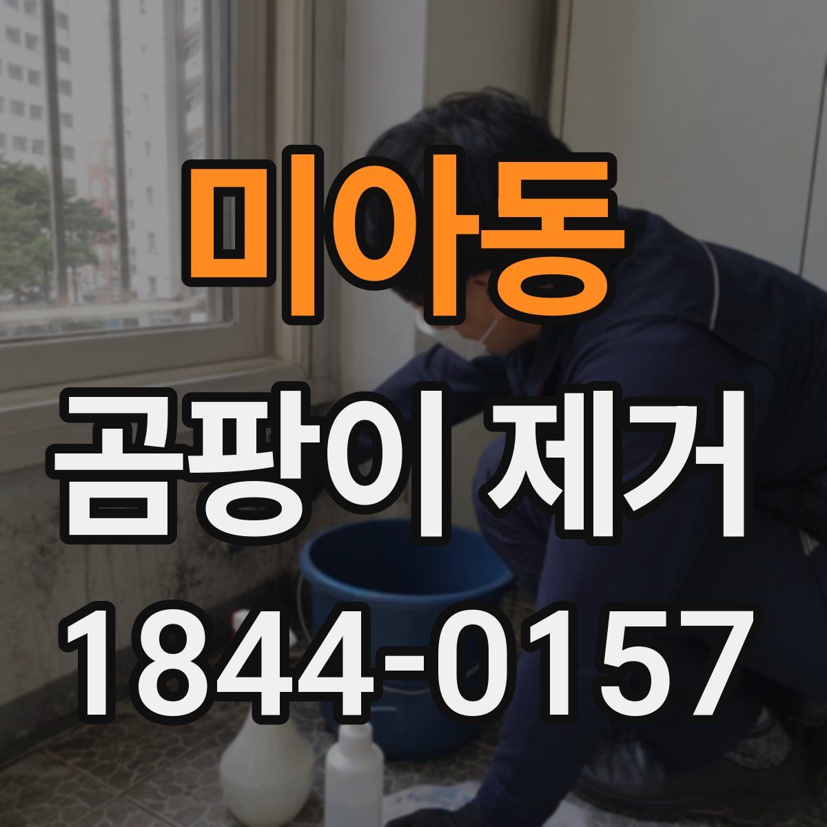 미아동 곰팡이 제거