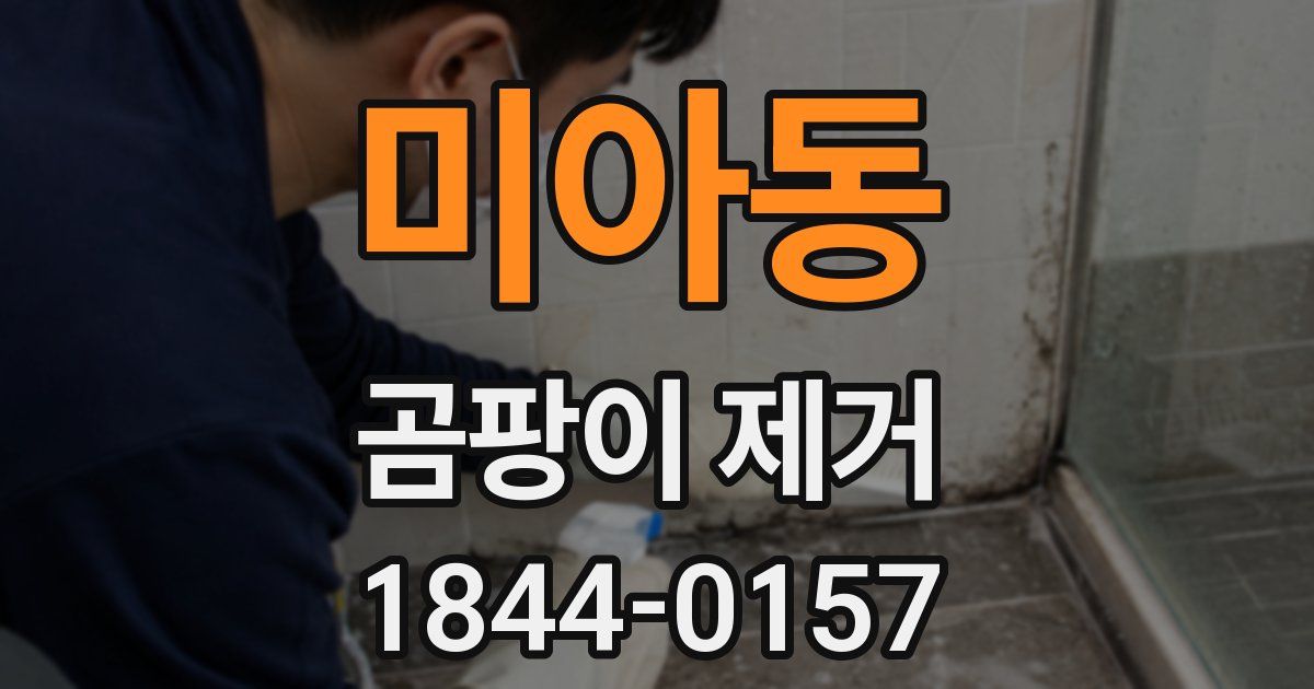 미아동 곰팡이 제거