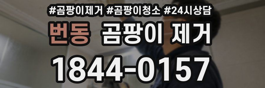 번동 곰팡이 제거
