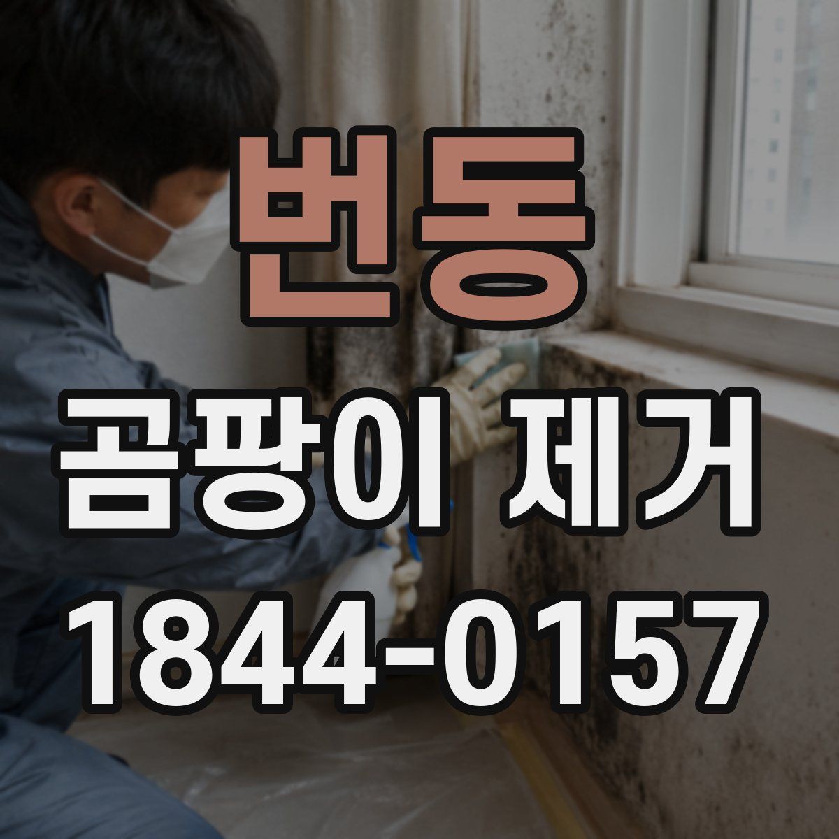 번동 곰팡이 제거