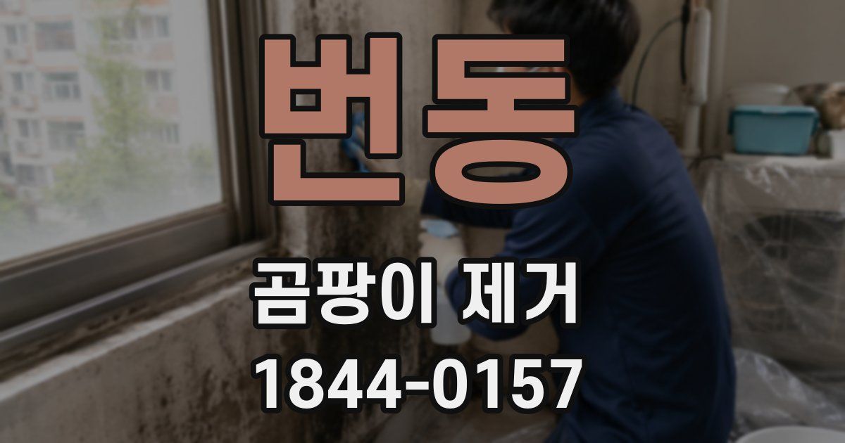 번동 곰팡이 제거