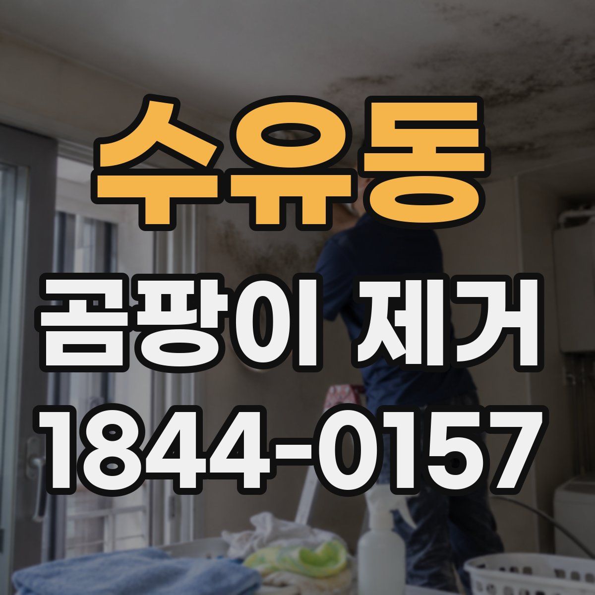 수유동 곰팡이 제거