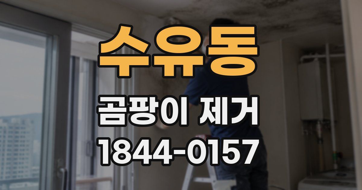 수유동 곰팡이 제거