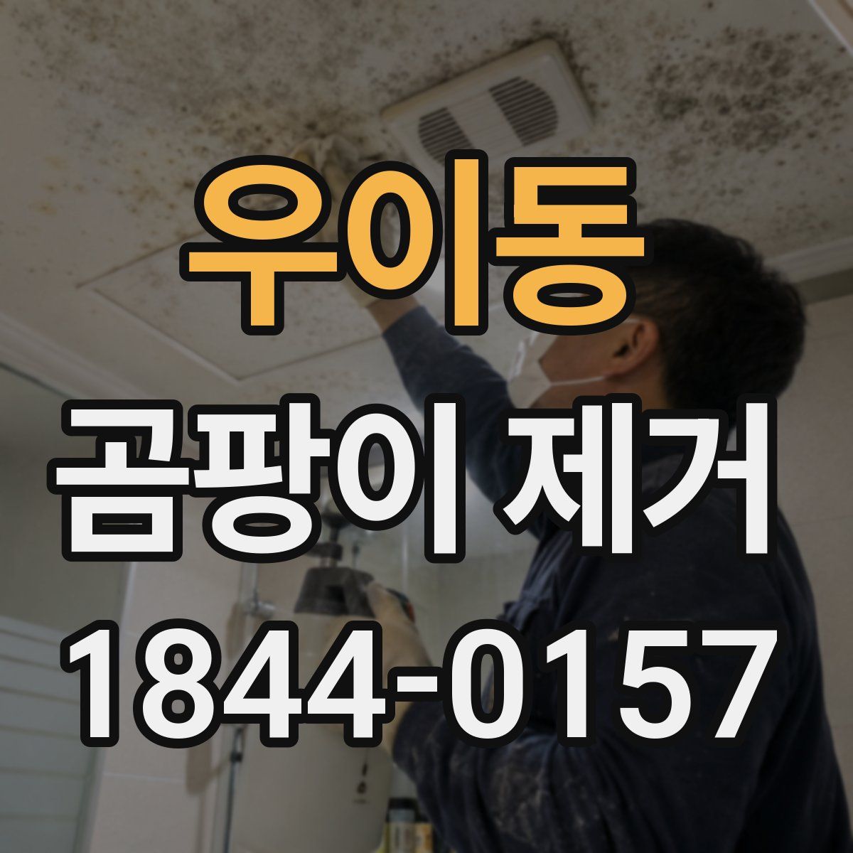 우이동 곰팡이 제거