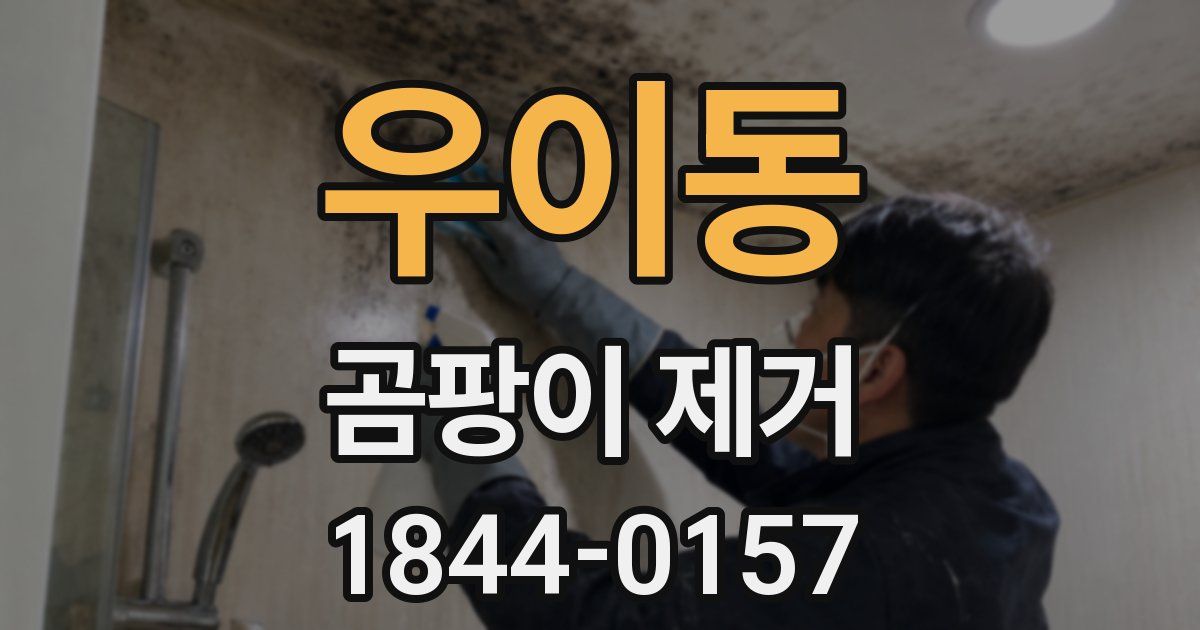 우이동 곰팡이 제거