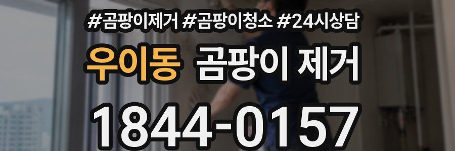 우이동 곰팡이 제거