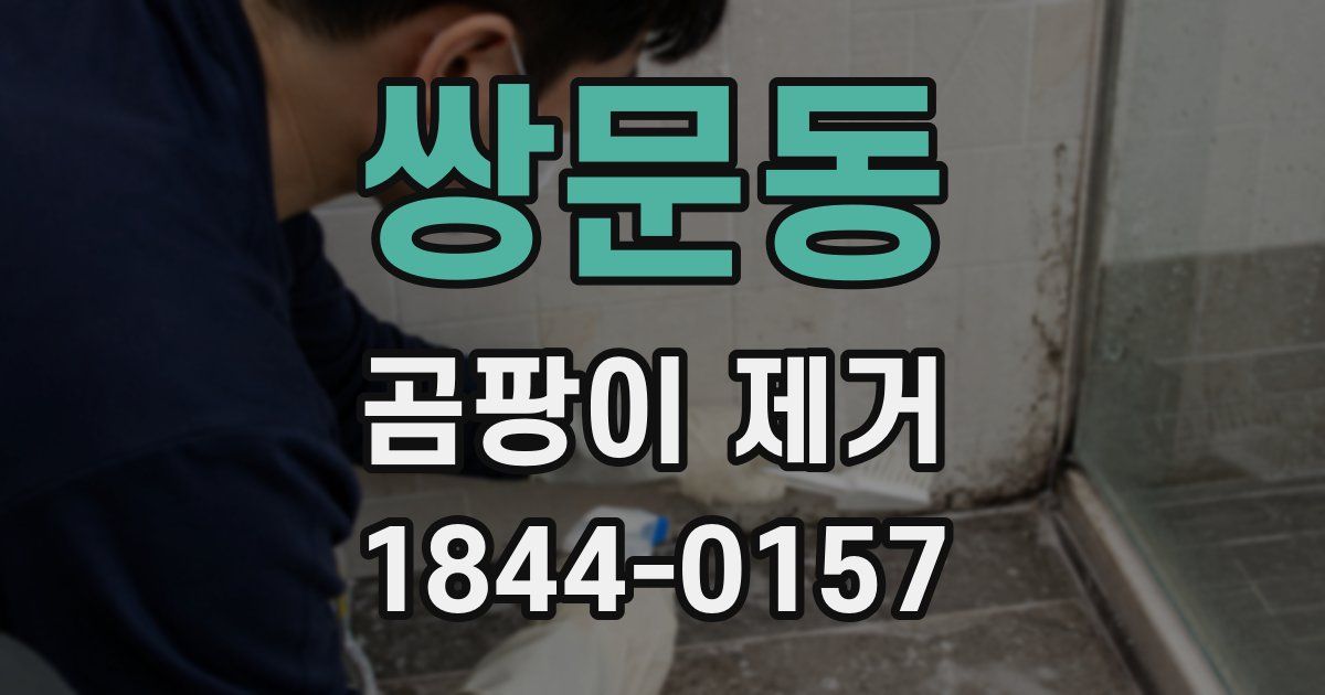 쌍문동 곰팡이 제거