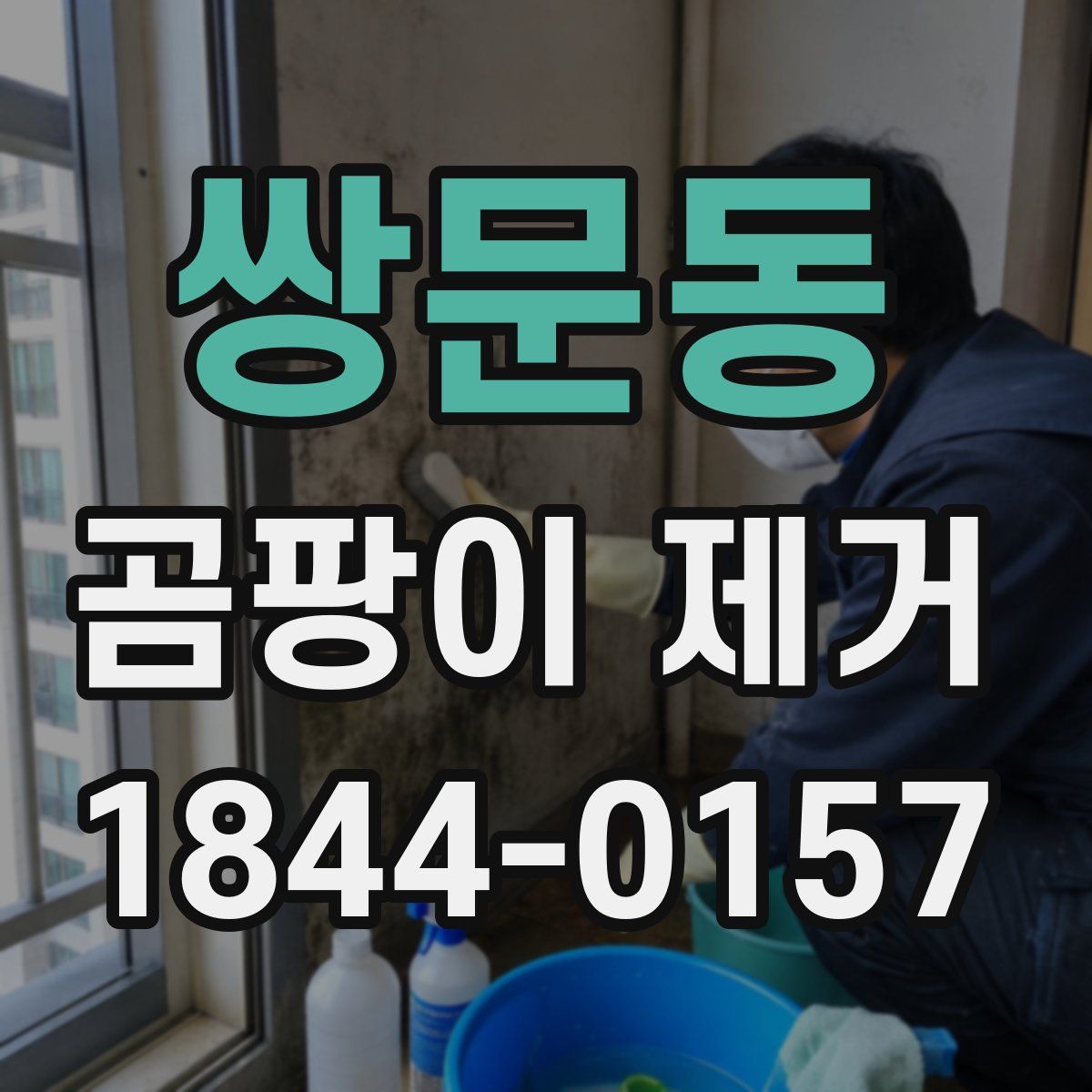 쌍문동 곰팡이 제거