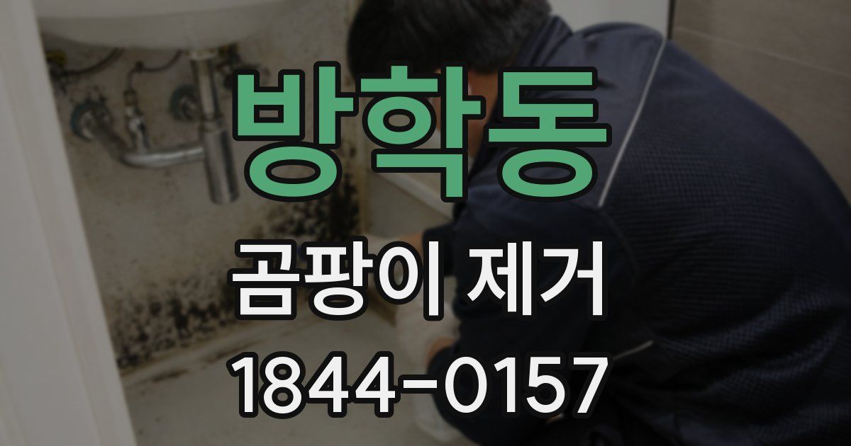 방학동 곰팡이 제거