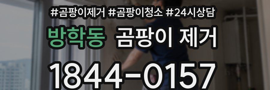 방학동 곰팡이 제거