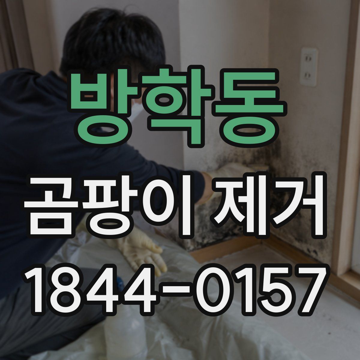 방학동 곰팡이 제거