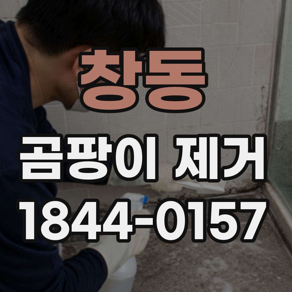창동 곰팡이 제거