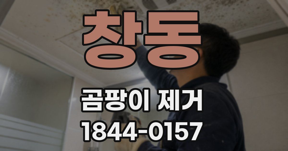 창동 곰팡이 제거
