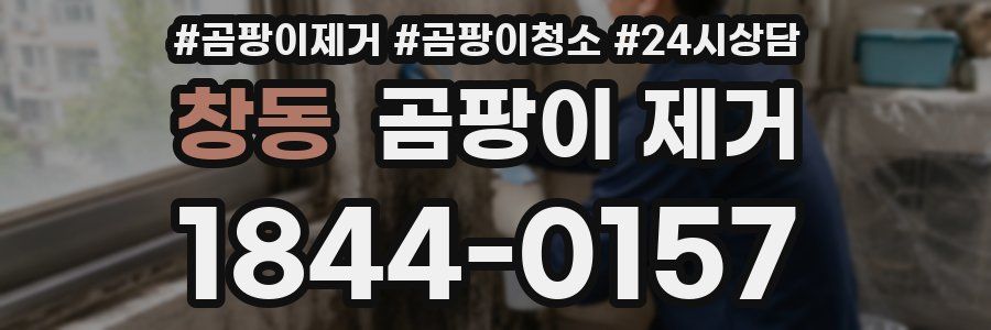 창동 곰팡이 제거