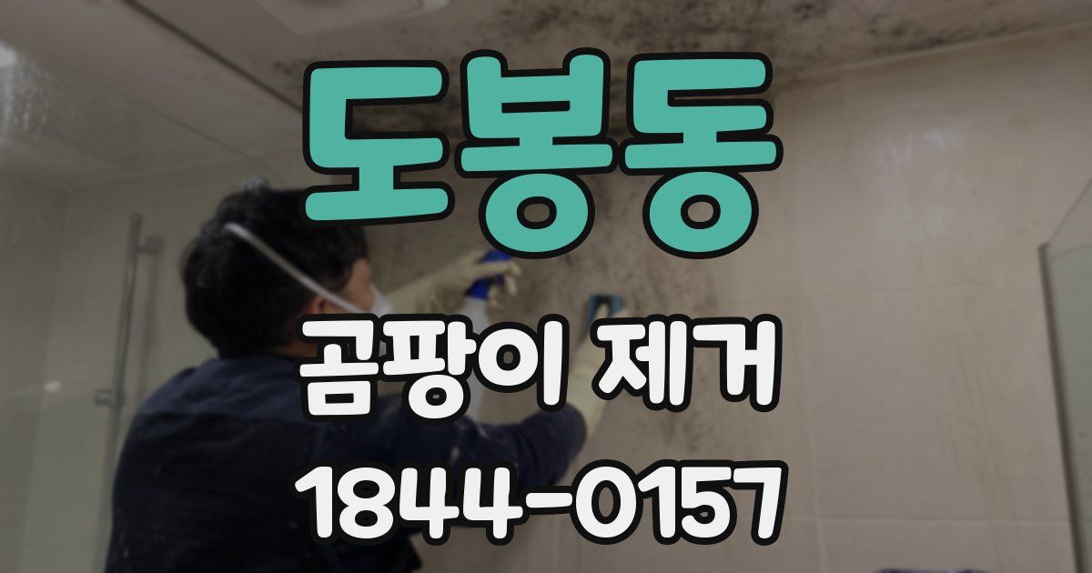 도봉동 곰팡이 제거