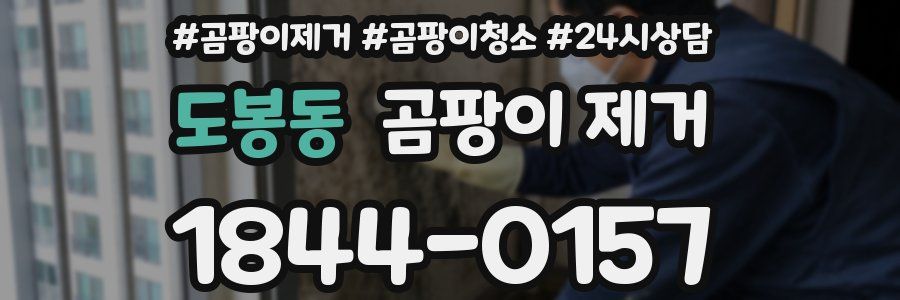 도봉동 곰팡이 제거