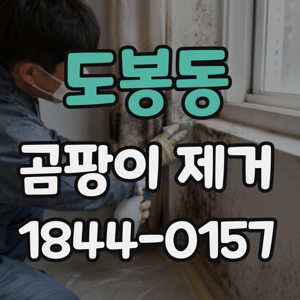 도봉동 곰팡이 제거