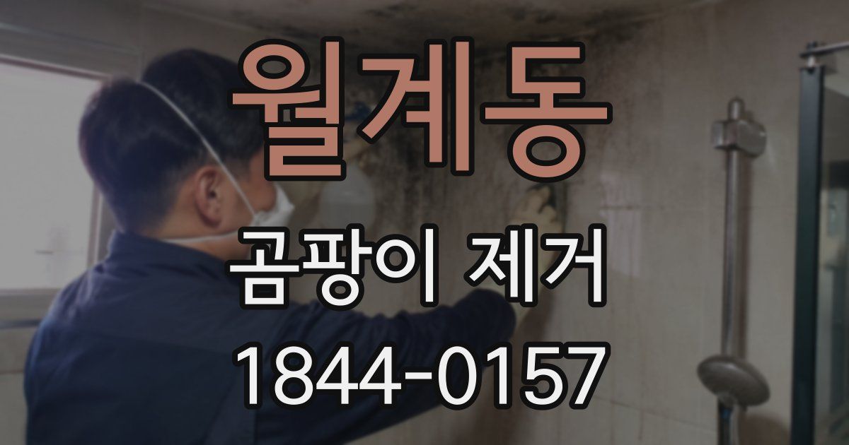 월계동 곰팡이 제거