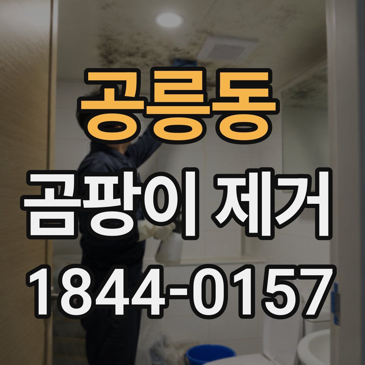 공릉동 곰팡이 제거