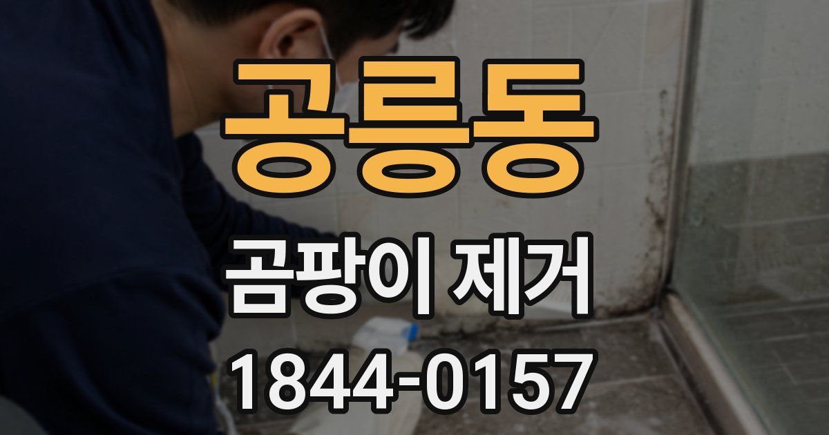 공릉동 곰팡이 제거