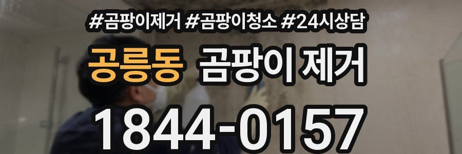 공릉동 곰팡이 제거