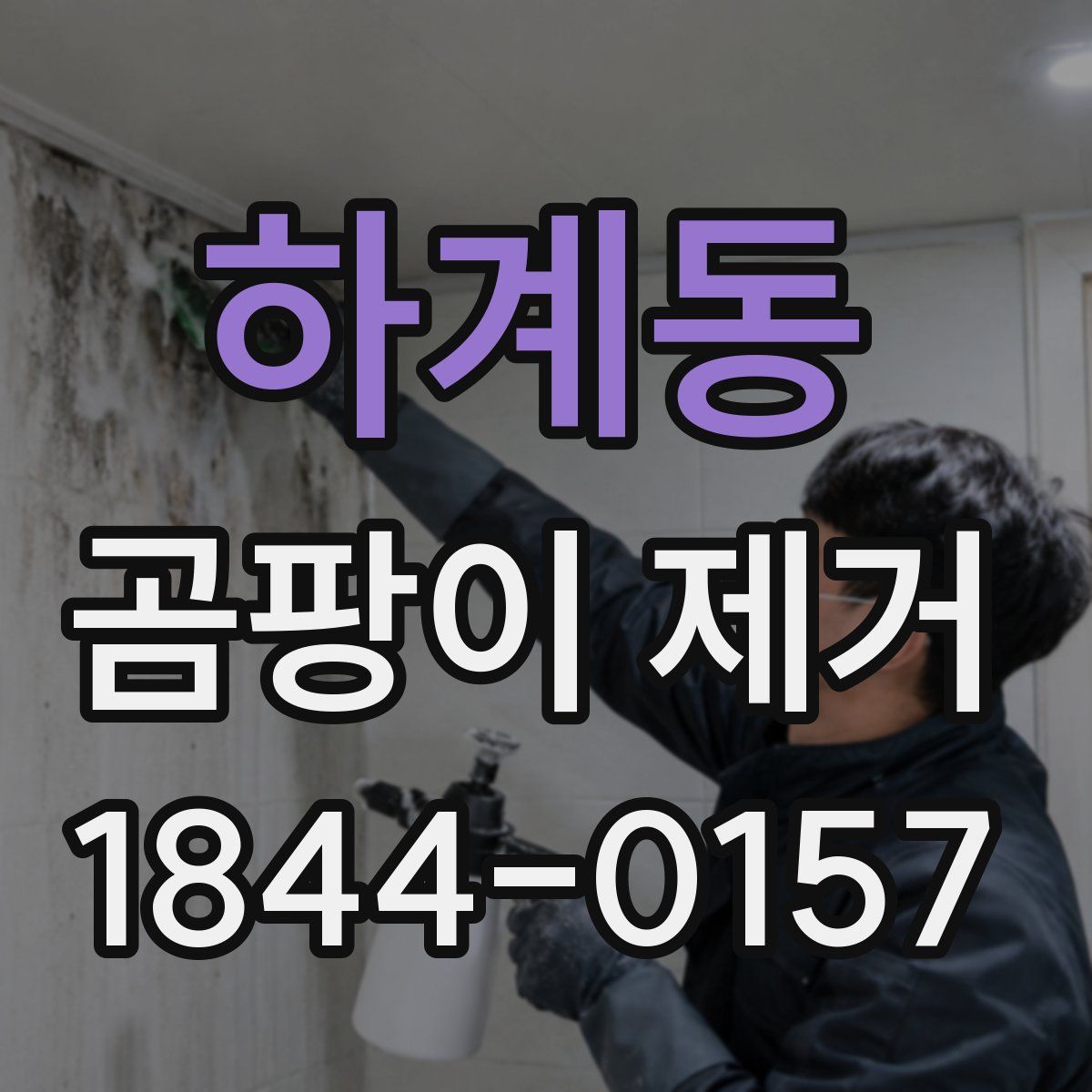 하계동 곰팡이 제거