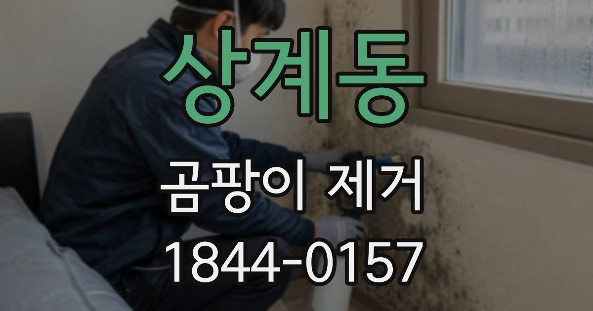 상계동 곰팡이 제거
