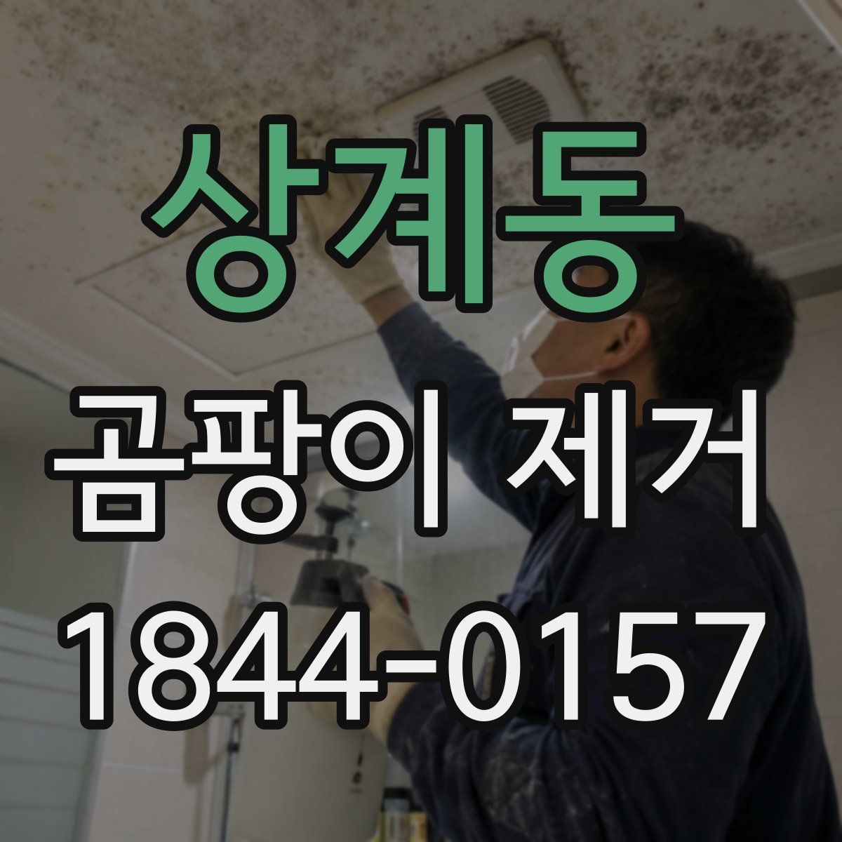 상계동 곰팡이 제거