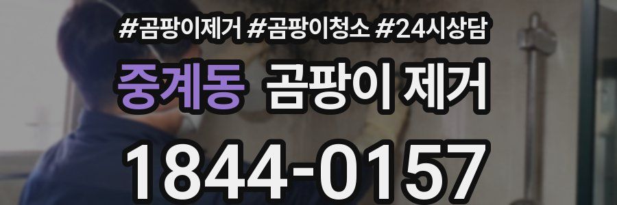 중계동 곰팡이 제거