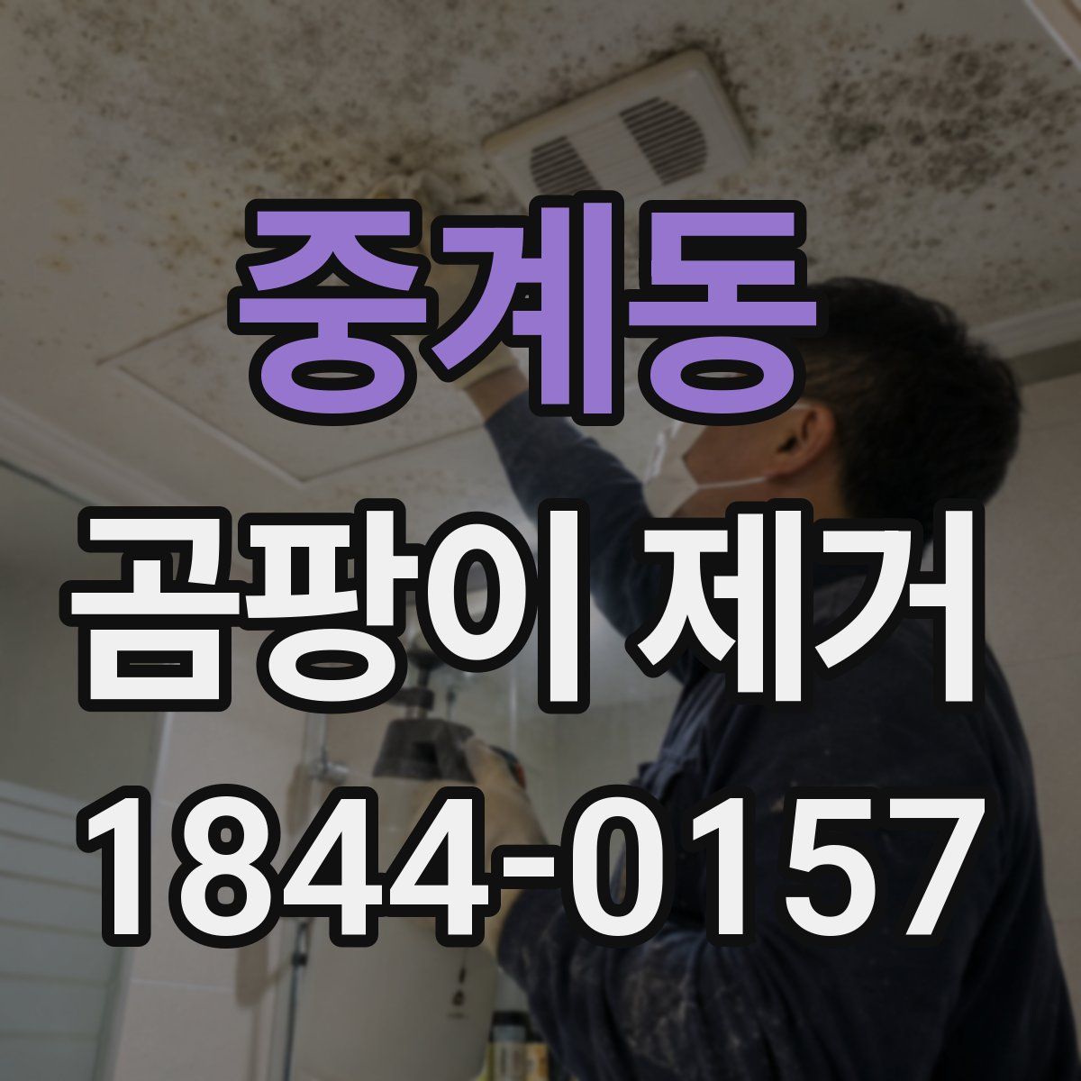 중계동 곰팡이 제거