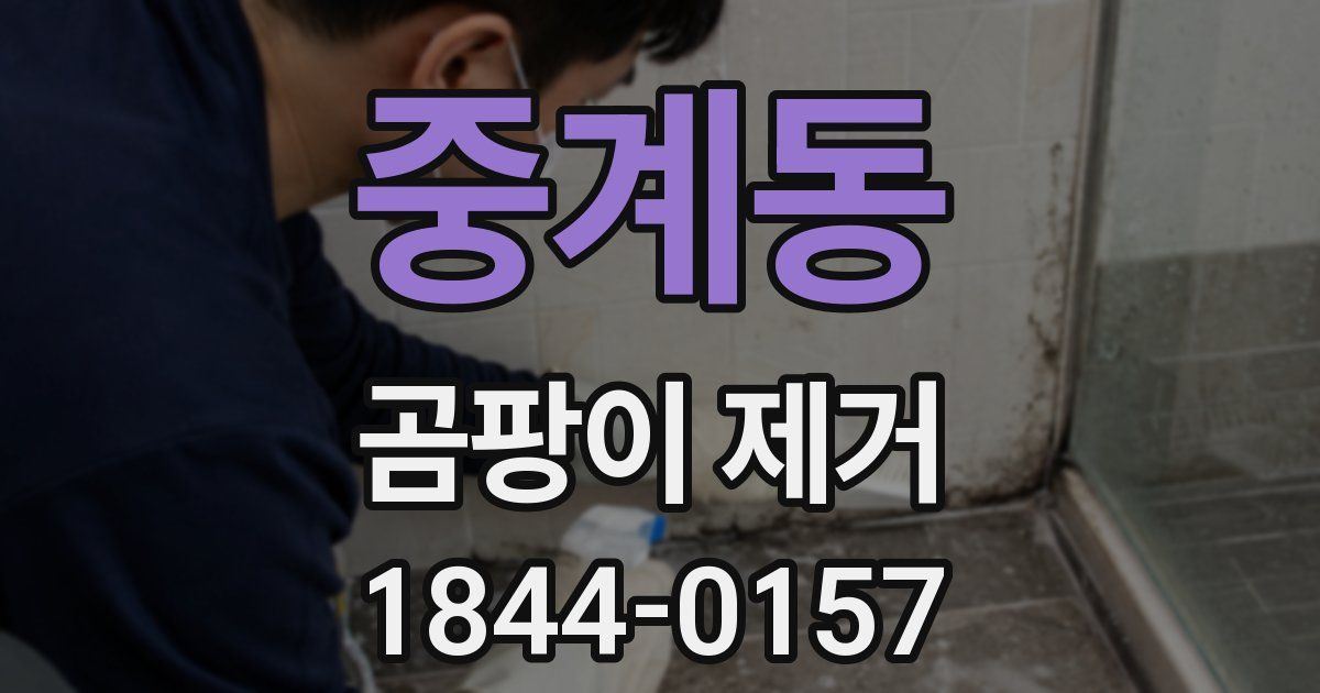 중계동 곰팡이 제거