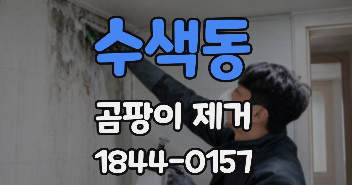 수색동 곰팡이 제거