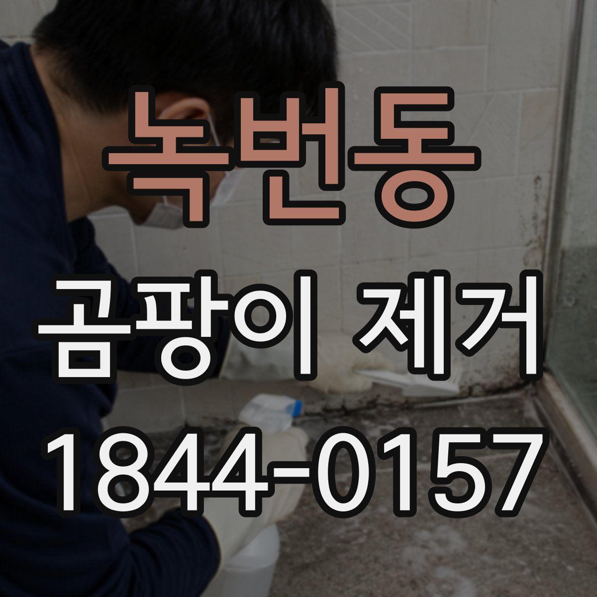 녹번동 곰팡이 제거