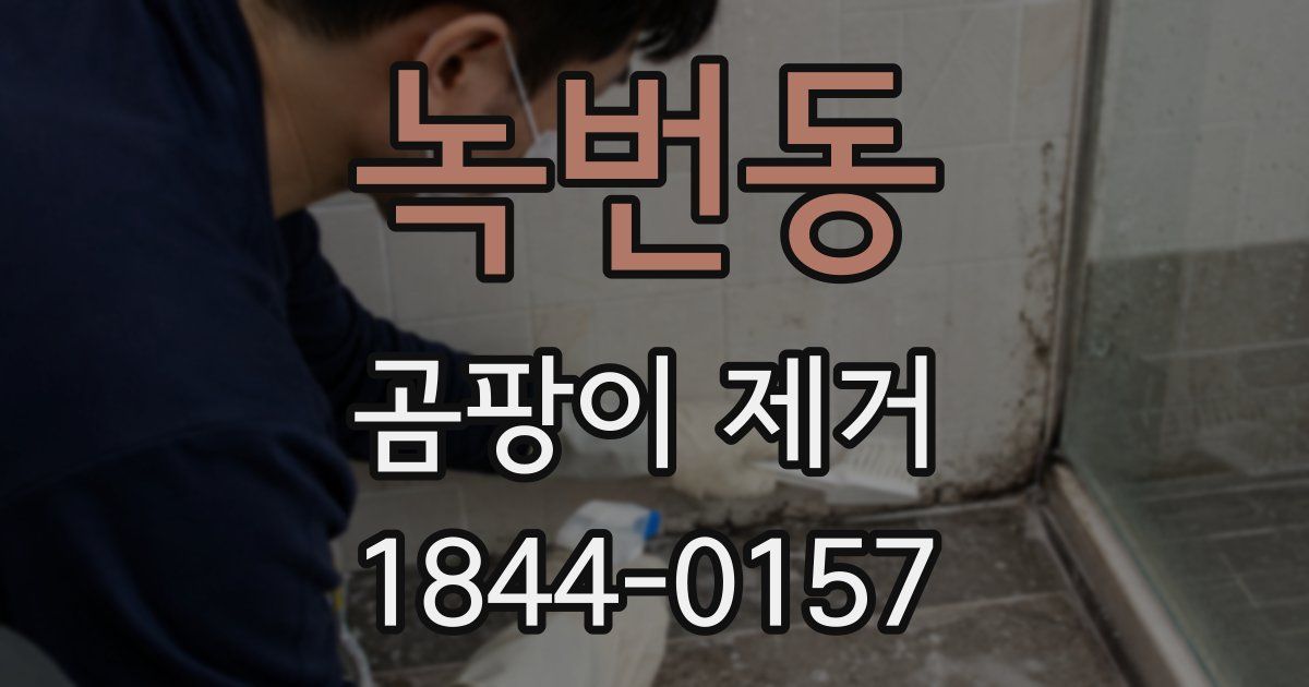 녹번동 곰팡이 제거