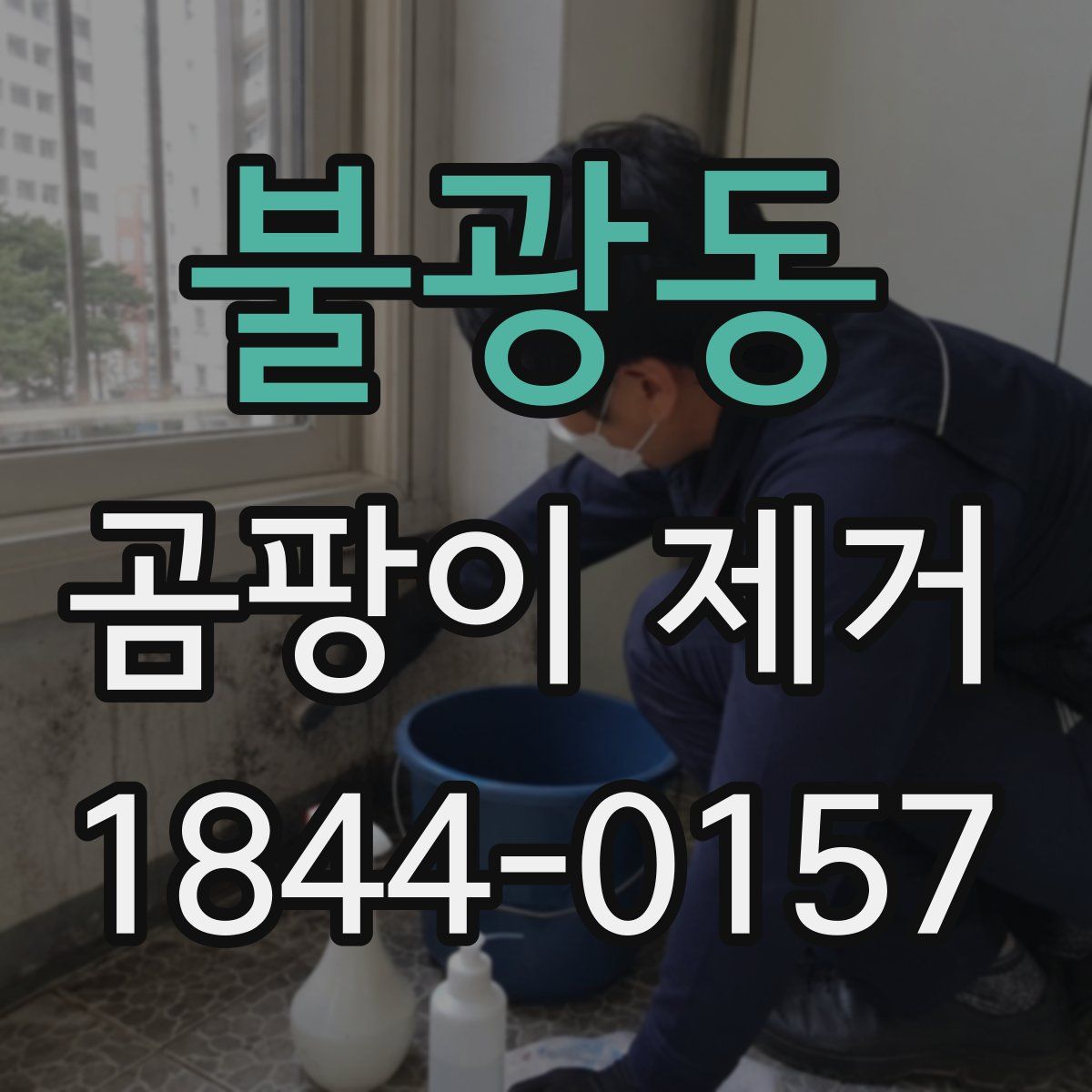 불광동 곰팡이 제거