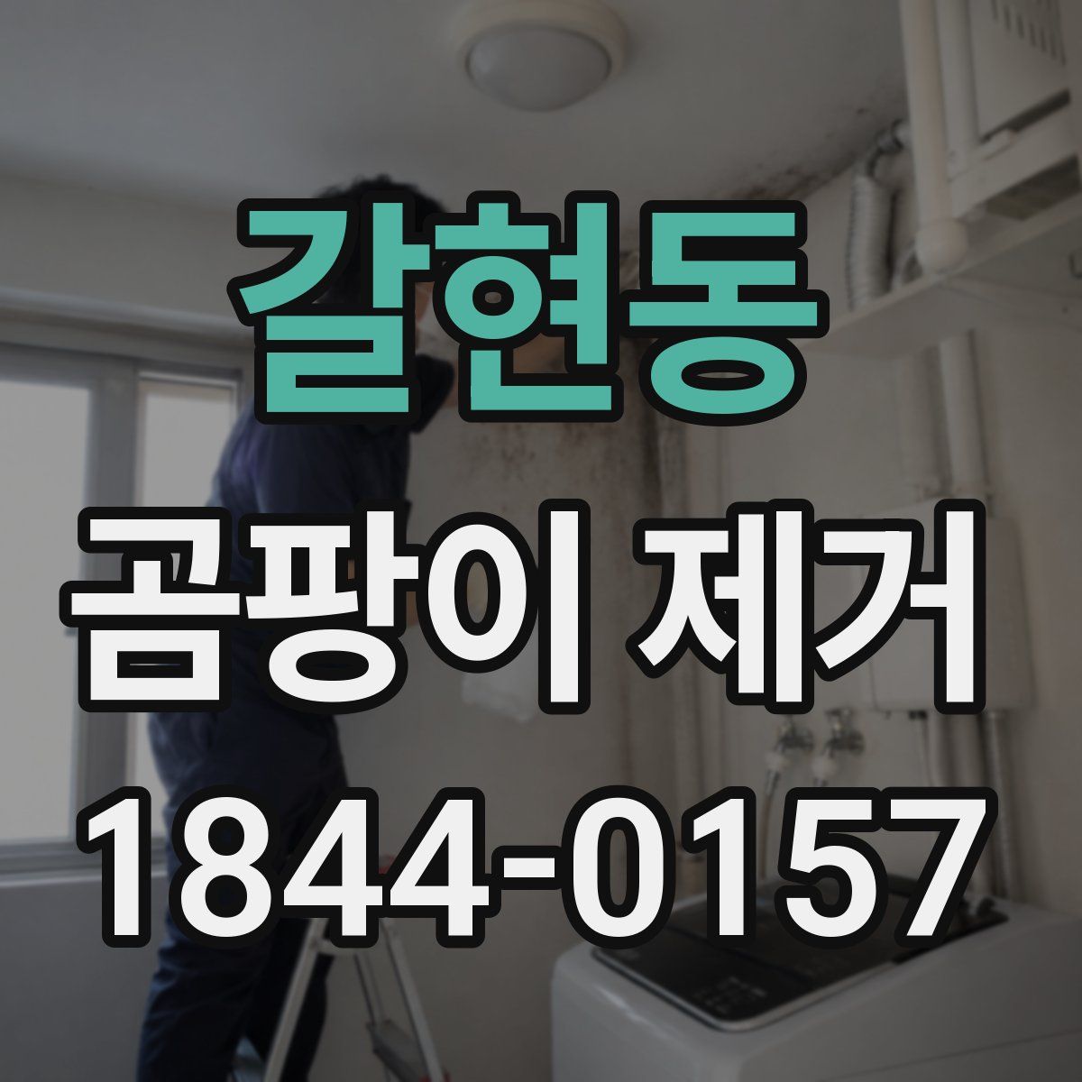 갈현동 곰팡이 제거