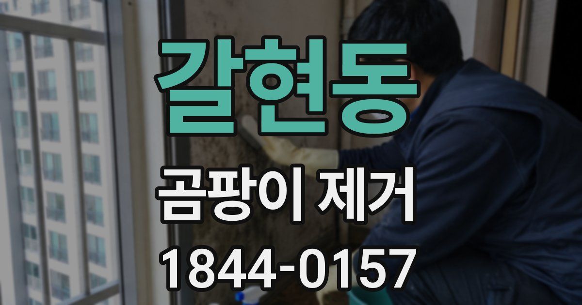 갈현동 곰팡이 제거