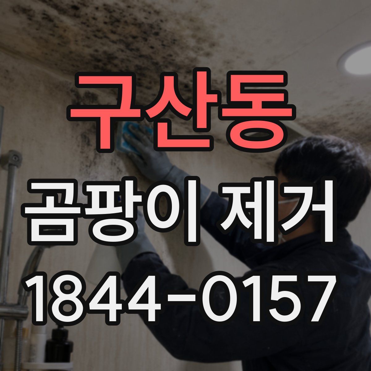 구산동 곰팡이 제거