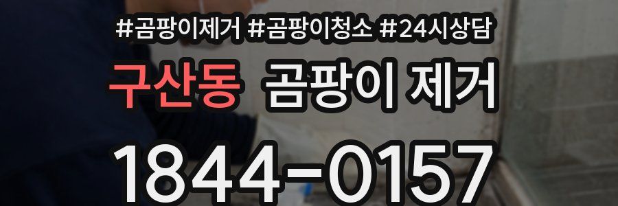 구산동 곰팡이 제거