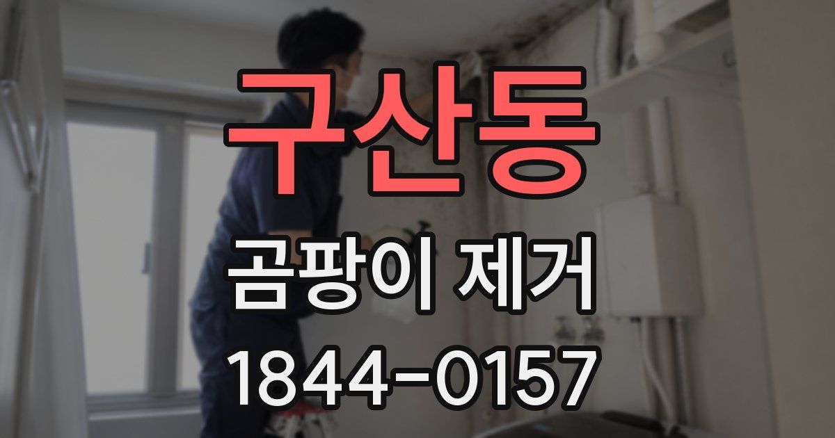 구산동 곰팡이 제거