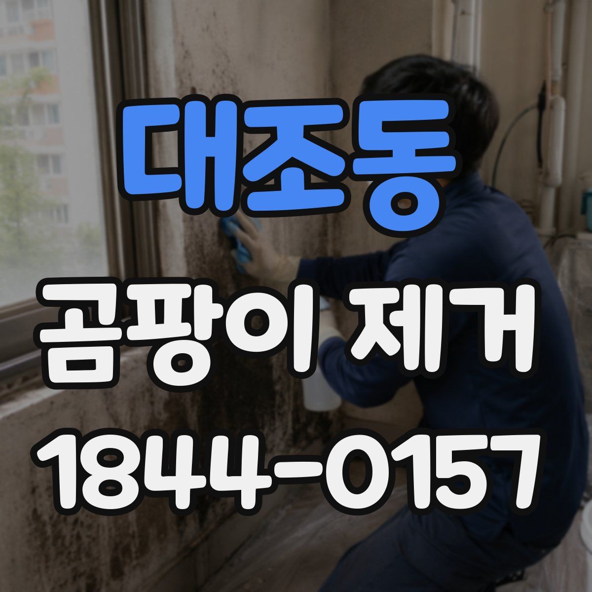 대조동 곰팡이 제거