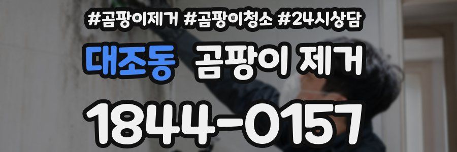 대조동 곰팡이 제거